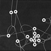 We're all connected! #5