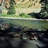 Grand Teton National Park