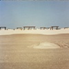 Mustang Island, TX 2009