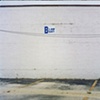 Blot, Malvern, PA 2009
