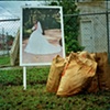 Wedding Photo, Austin, TX