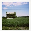 Berlin, Maryland 