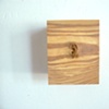 Seeing Is Believing, detail ear