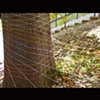 Installation/Research Group Project