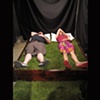 Grass Bed