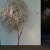Emergence