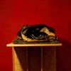 boxes and seat - detail