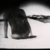 "untitled" by Alexis Doshas ...part of the Dune Shack series