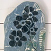 Molly Driscoll