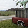 "Roadside Extinction" by Aaron Taves"