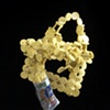 Bejeweled Double Festooned Plus Skull for Girls 
