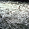 reductionism - Installation View 3