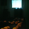Semiosis (Installation)