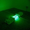 Concerning the Motionlessness of Green 