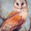 owl