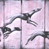 greyhounds