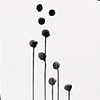 Black Markings