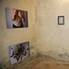 Botanica installation image 
