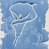 Calla Lily