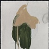 Dead Bird