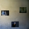 Botanica installation image