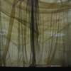 Veiled Window