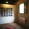 Botanica installation image