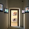 Botanica installation image