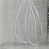 Bud