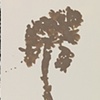 Dried Flower