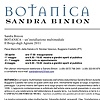 Botanica Press Release (Italian), page 1