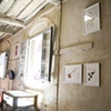 Botanica installation image