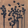 Dried Berries