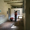 Botanica installation image