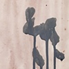 Pussywillow