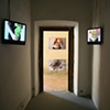 Botanica installation image