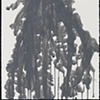 Dried Grasses