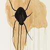 The Sacred Spider