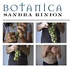 Botanica Press Release (Italian), page 2