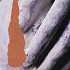 Untitled (plaster hand with coral shape)