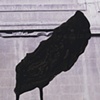Untitled (museum wall with black wing shape)