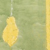 Lemons