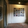 Botanica installation image