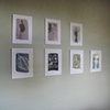 Two series of watercolors from Botanica