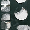 Torn Labels