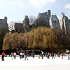 Winter Ice