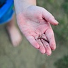 Child Play