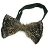 Bow tie- guinea hen 
