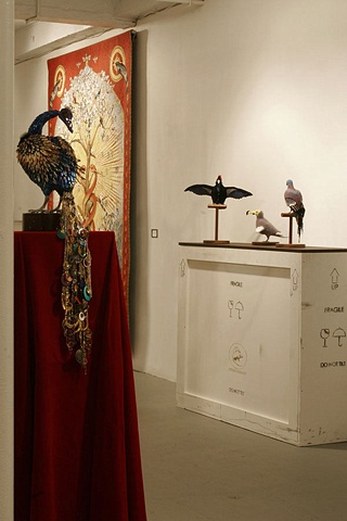 Future Darwinist installation view 1