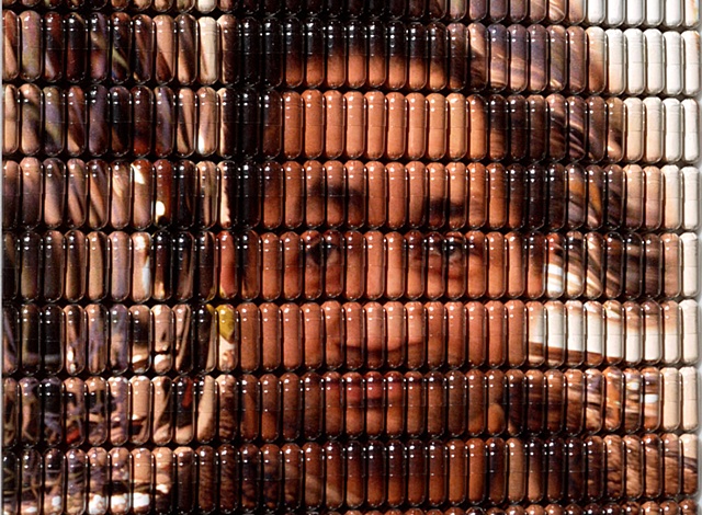 Life in the Funhouse (detail)